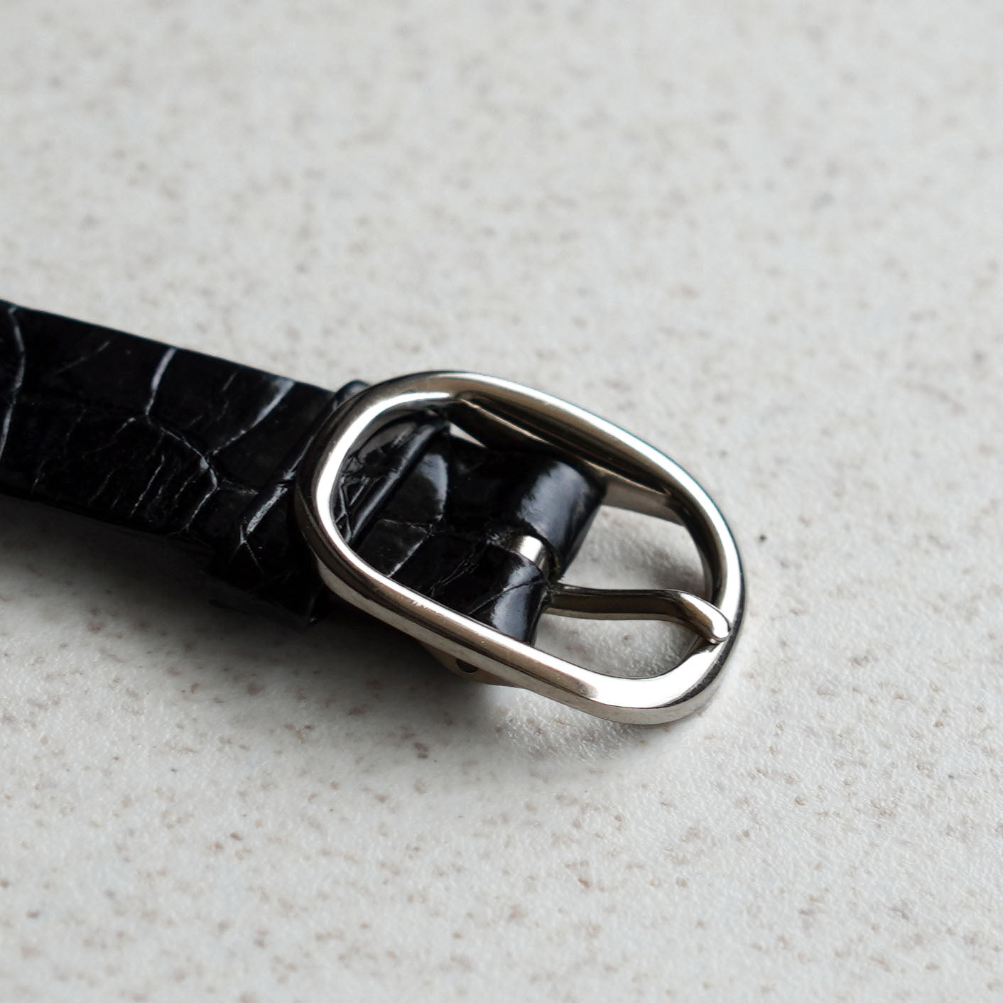 Patek Philippe Ellipse Silver Sigma Dial, Ref. 3648, White Gold